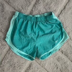 Nike Dri-Fit Shorts Size Large